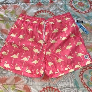 Mens Flamingo Shorts/Swim Trunks